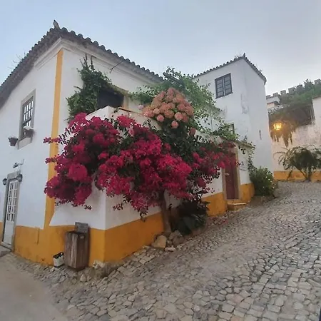 וילה Casa Do Patio - Tres Charmante 12 Personnes 5ch Avec Piscine *