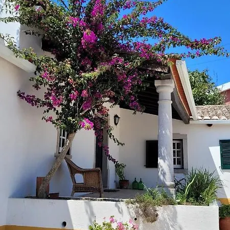 וילה Casa Do Patio - Tres Charmante 12 Personnes 5ch Avec Piscine
