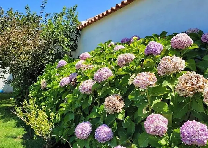 Casa Do Patio - Tres Charmante 12 Personnes 5ch Avec Piscine São Bartolomeu