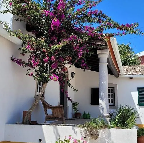 Villa Casa Do Patio - Tres Charmante 12 Personnes 5ch Avec Piscine